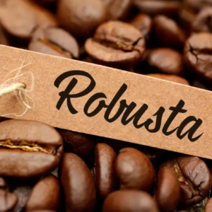 Hạt cà phê Robusta ngon để bán quán Mẹo Pha Cà Phê Ngon Với Máy Pha Cà Phê Gia Đình