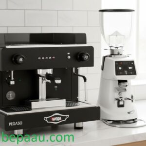 Combo máy pha cà phê Wega Pegaso A1 Group + Máy xay cà phê Fiorenzato F64E version 2