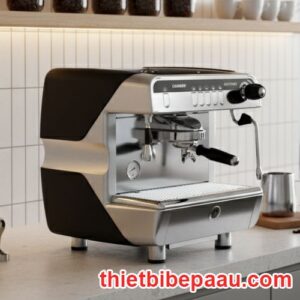 Máy pha cà phê Casadio Nettuno 1 Group