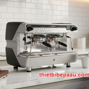 Máy pha cà phê Casadio Nettuno 2 Group