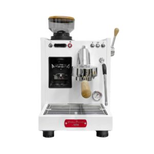 Máy pha cà phê Welhome Pro KD 310GBS