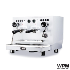 Máy pha cà phê Welhome Pro KD 510