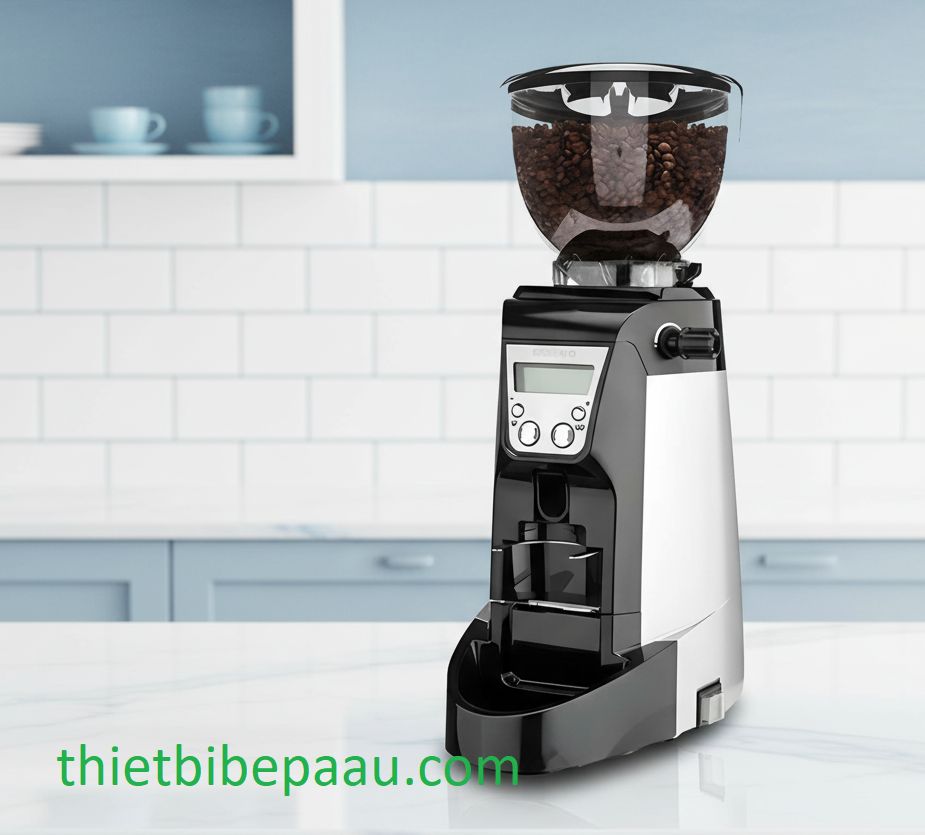 Máy xay cà phê Casadio Enea On Demand 