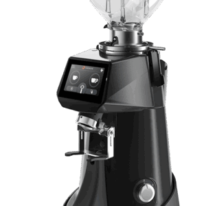 Máy xay cà phê Fiorenzato F83 E XGi PRO